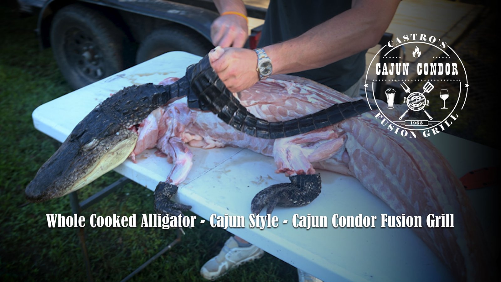 Cajun Condor